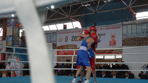 В Дербенте стартовал чемпионат Дагестана по боксу                                                                                                                                 